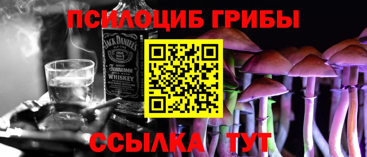 Лыткарино  Галлюциногенные грибы мицелий  где купить наркоту  Вход с VPN 